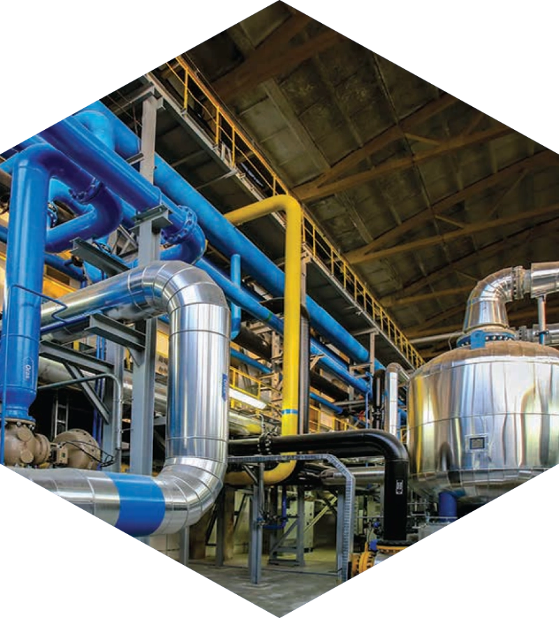 Sulfonic Acid
